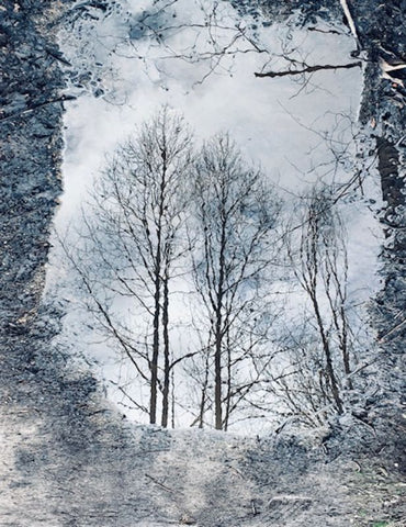 Winter Reflection