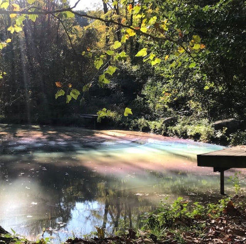 Rainbow on Pond